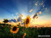 湖南小妖网络科技有限公司