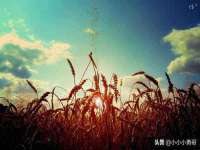 湖南小妖网络科技有限公司