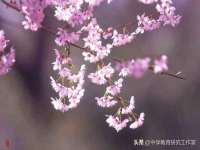 湖南小妖网络科技有限公司