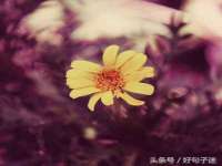 湖南小妖网络科技有限公司