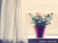 湖南小妖网络科技有限公司
