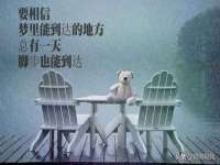 湖南小妖网络科技有限公司