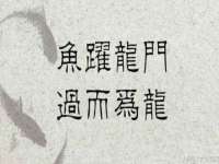湖南小妖网络科技有限公司