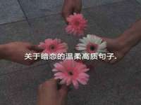 湖南小妖网络科技有限公司