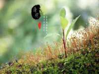 湖南小妖网络科技有限公司