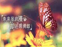 湖南小妖网络科技有限公司