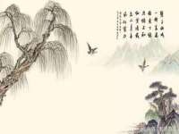 湖南小妖网络科技有限公司