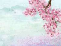 湖南小妖网络科技有限公司