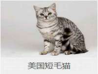 湖南小妖网络科技有限公司