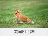 湖南小妖网络科技有限公司