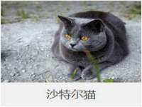 湖南小妖网络科技有限公司