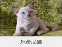 湖南小妖网络科技有限公司