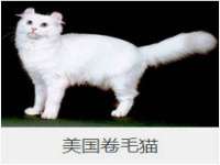 湖南小妖网络科技有限公司
