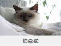 湖南小妖网络科技有限公司