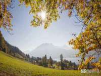 湖南小妖网络科技有限公司