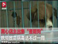 湖南小妖网络科技有限公司