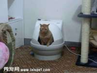 湖南小妖网络科技有限公司