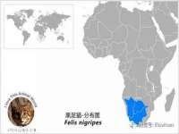 湖南小妖网络科技有限公司