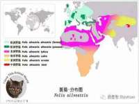 湖南小妖网络科技有限公司