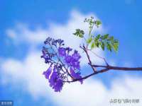 湖南小妖网络科技有限公司