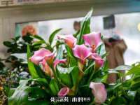 湖南小妖网络科技有限公司