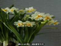 湖南小妖网络科技有限公司