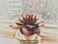 湖南小妖网络科技有限公司