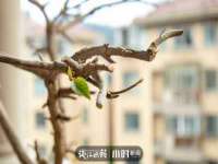 湖南小妖网络科技有限公司