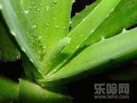 湖南小妖网络科技有限公司