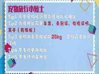 湖南小妖网络科技有限公司