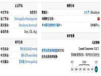 湖南小妖网络科技有限公司
