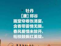 湖南小妖网络科技有限公司