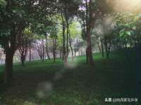 湖南小妖网络科技有限公司