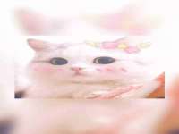 湖南小妖网络科技有限公司