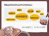 湖南小妖网络科技有限公司