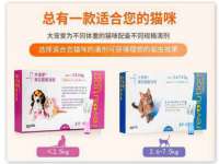 湖南小妖网络科技有限公司