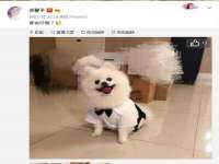 湖南小妖网络科技有限公司