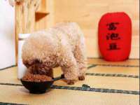 湖南小妖网络科技有限公司