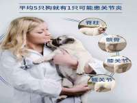 湖南小妖网络科技有限公司