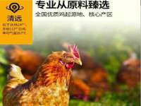 湖南小妖网络科技有限公司
