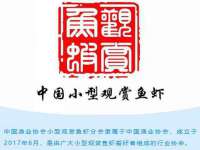 湖南小妖网络科技有限公司