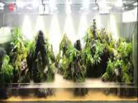 湖南小妖网络科技有限公司