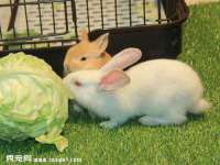 湖南小妖网络科技有限公司
