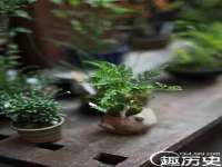湖南小妖网络科技有限公司