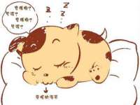 湖南小妖网络科技有限公司