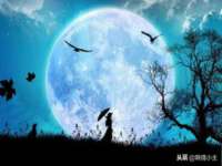 湖南小妖网络科技有限公司