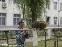 湖南小妖网络科技有限公司