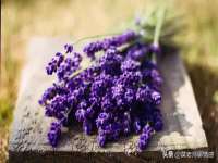 湖南小妖网络科技有限公司