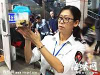 湖南小妖网络科技有限公司